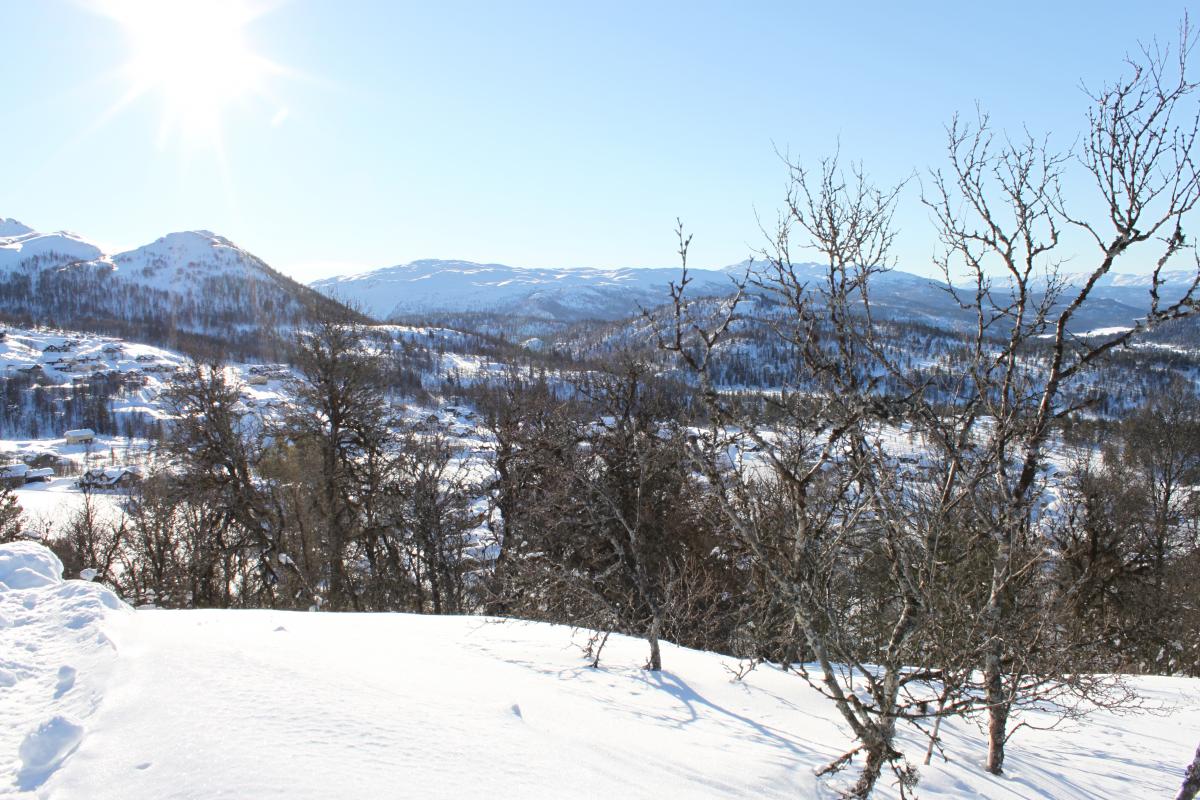 Områdebilde 20
