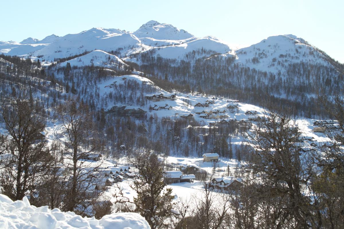 Områdebilde 22